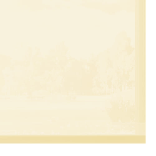 KB-002 creme - transparent